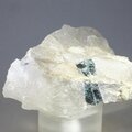 Indicolite (Blue Tourmaline) Quartz Crystal ~50mm