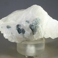 Indicolite (Blue Tourmaline) Quartz Crystal ~60mm