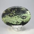 Kambaba Jasper Palmstone (Extra Grade) ~70x50mm
