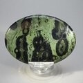 Kambaba Jasper Palmstone (Extra Grade) ~70x50mm