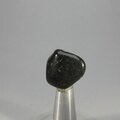 Kimberlite Tumblestone ~22mm
