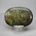 Labradorite Palmstone (Extra Grade) ~70x50mm