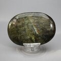 Labradorite Palmstone (Extra Grade) ~70x50mm