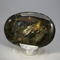 Labradorite Palmstone (Extra Grade) ~70x50mm