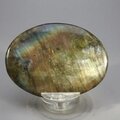 Labradorite Palmstone (Extra Grade) ~70x50mm
