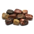 Leopard Skin Jasper Tumble Stone (20-25mm)