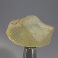 Libyan Glass Polished Stone ~34mm