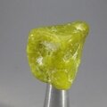 Lizardite Tumblestone ~25mm