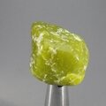 Lizardite Tumblestone ~29mm