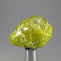 Lizardite Tumblestone ~35mm