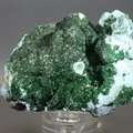 Malachite & Chrysocolla Mineral Specimen ~65mm