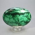 Malachite Palmstone (Extra Grade) ~70x50mm