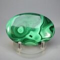 Malachite Palmstone (Extra Grade) ~70x50mm