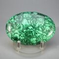 Malachite Palmstone (Extra Grade) ~70x50mm