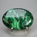 Malachite Palmstone (Extra Grade) ~70x50mm