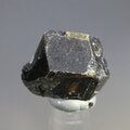 Melanite Garnet Healing Crystal ~18mm