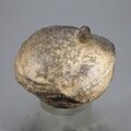 'Monster' Moqui Marble ~46mm