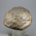 'Monster' Moqui Marble ~55mm