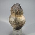 'Monster' Moqui Marble ~71mm