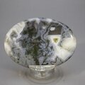 Moss Agate Palmstone (Extra Grade) ~70x50mm