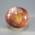 Petrified Wood Extra Large Tumblestone ~43mm