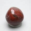 Petrified Wood Extra Large Polished stone ~44mm