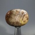Petrified Wood Massage Stone ~40mm