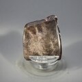 Petrified Wood Polished Tile ~37mm