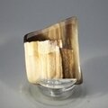 Petrified Wood Polished Tile ~43mm
