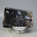 Petrified Wood Polished Tile ~57mm