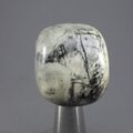 Picasso Jasper Tumblestone ~25mm