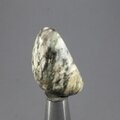 Picasso Jasper Tumblestone ~30mm