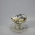 Picasso Jasper Tumblestone ~34mm