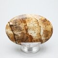 Picture Jasper Palmstone (Extra Grade)  ~60x40mm