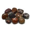 Pietersite Tumble Stone (20-25mm)