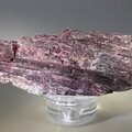 Pink Tourmaline Healing Mineral ~90mm