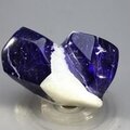 Polished Lapis Crystals on White Quartz ~32 x 48mm