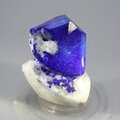 Polished Lapis Crystals on White Quartz ~40 x 31mm