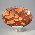 Poppy Jasper Palmstone (Extra Grade)  ~70x50mm