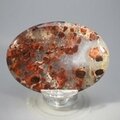 Poppy Jasper Palmstone (Extra Grade)  ~70x50mm