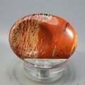 Poppy Jasper Thumbstone (Extra Grade) ~40x30mm
