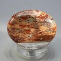 Poppy Jasper Thumbstone (Extra Grade) ~40x30mm