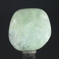 Prehnite Tumblestone ~29mm