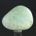 Prehnite Tumblestone ~30mm
