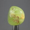 Prehnite Tumblestone ~30mm
