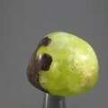 Prehnite Tumblestone ~32mm