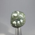 Preseli Stonehenge Bluestone Tumblestone ~29mm