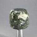 Preseli Stonehenge Bluestone Tumblestone ~29mm