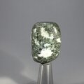 Preseli Stonehenge Bluestone Tumblestone ~33mm