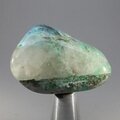 Quantum Quattro Polished Stone ~37mm